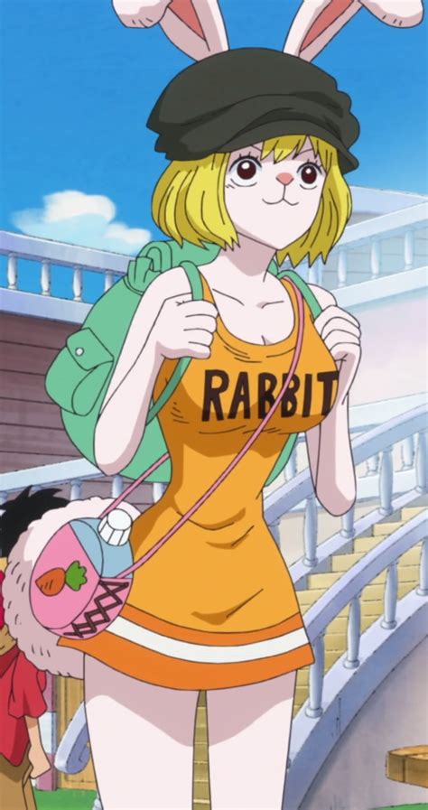 sex one piece carrot|One Piece Carrot